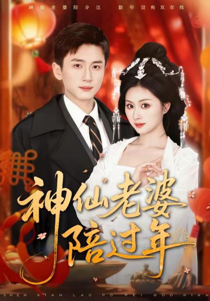 神仙老婆陪过年封面