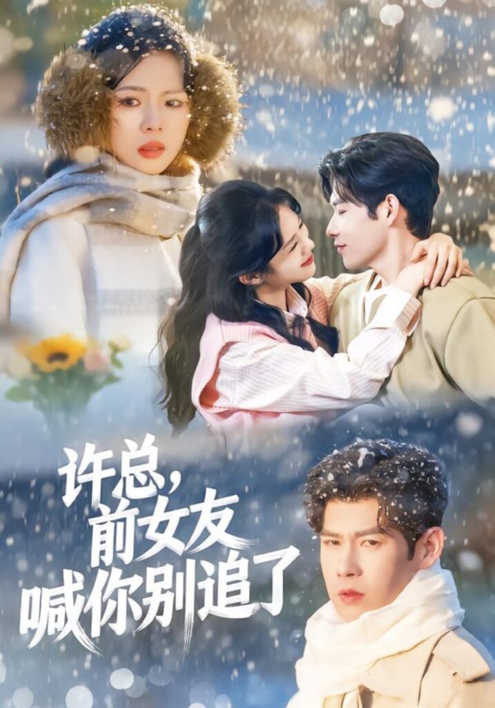 许总，前女友喊你别追了封面