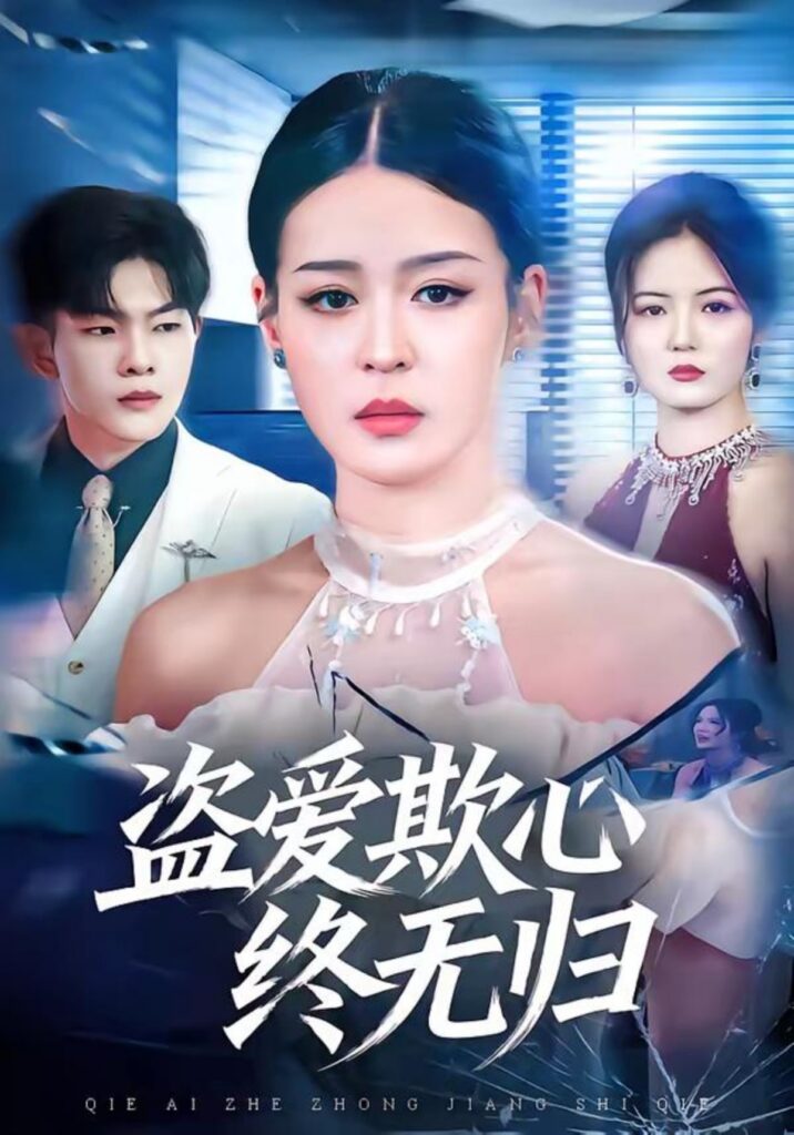 盗爱欺心终无归封面