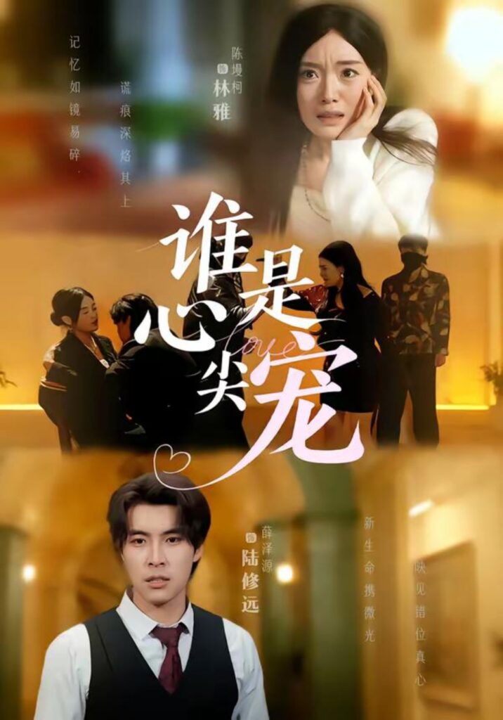 谁是心尖宠封面