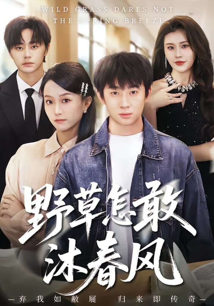 野草怎敢沐春风（61集）王楚封面