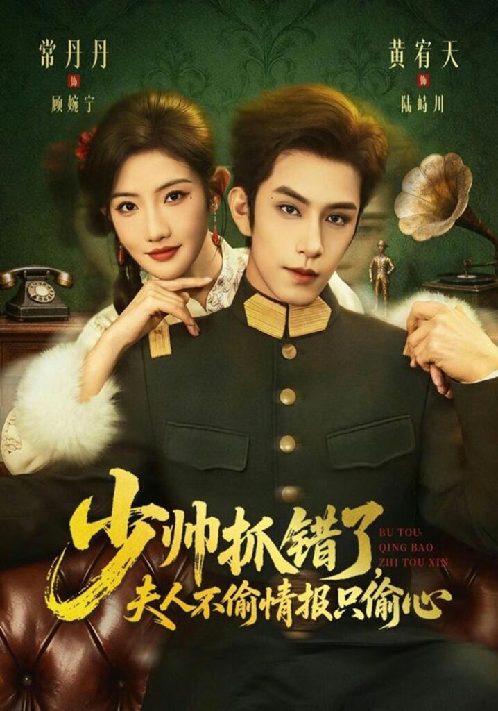 少帅抓错了，夫人不偷情报只偷心（66集）黄宥天封面