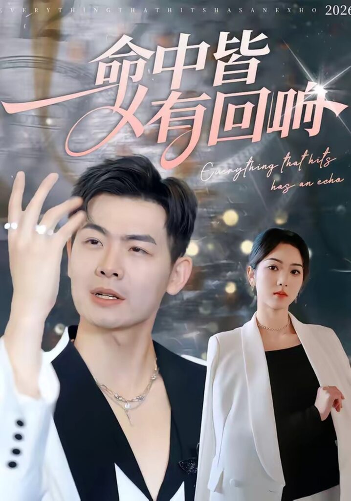 命中皆有回响(62集)薄艾莹封面