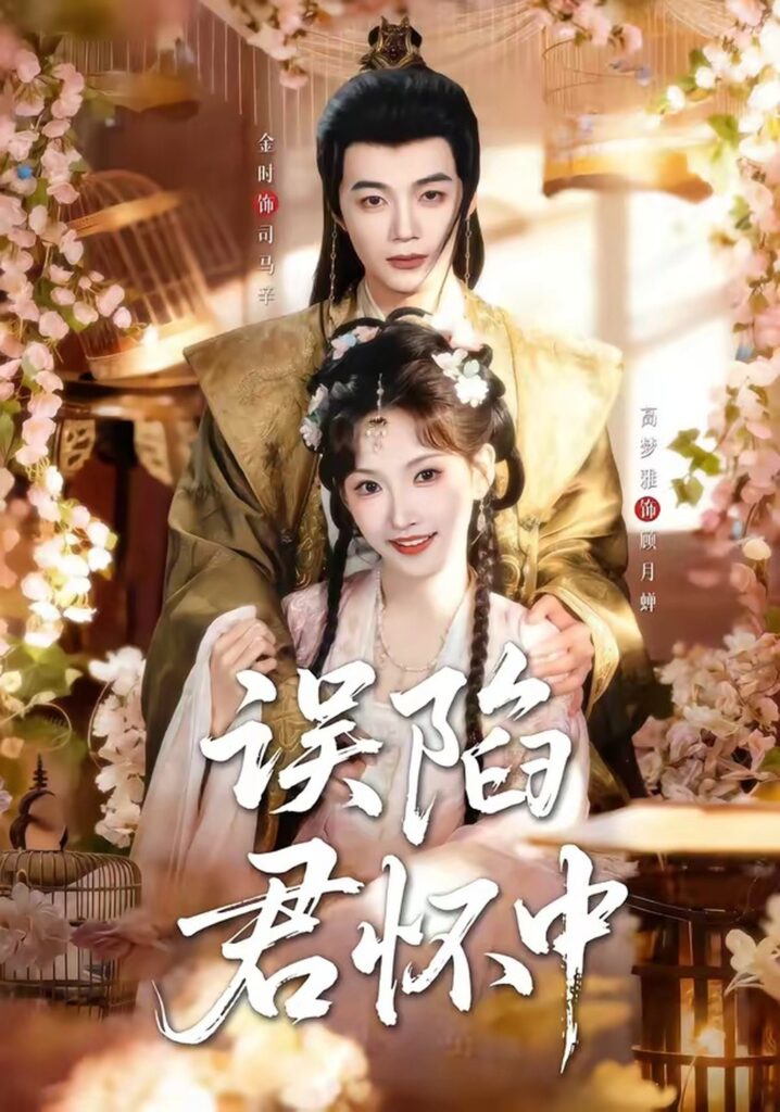 误陷君怀中（70集）金时封面