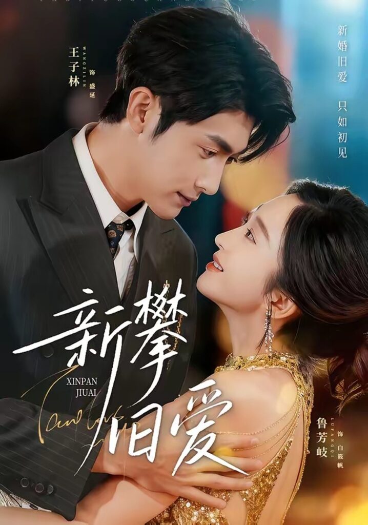 新攀旧爱（67集）王子林封面