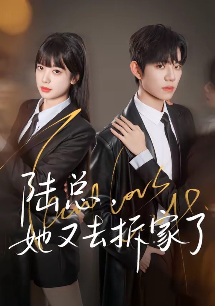 陆总，她又去拆家了（80集）白贯羽封面