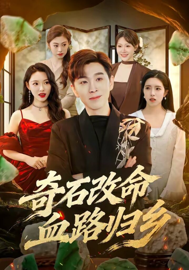 奇石改命血路归乡（81集）胡程耀封面