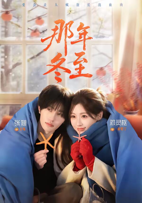 47580-那年冬至封面