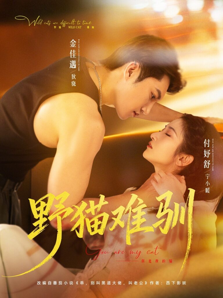 47582-野猫难驯封面