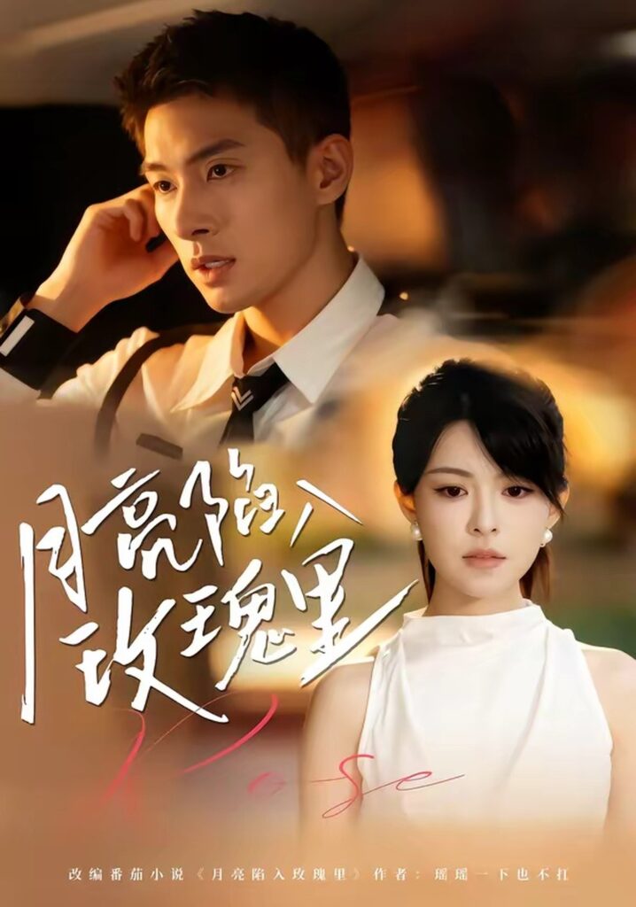 月亮陷入玫瑰里（60集）邹盛文封面