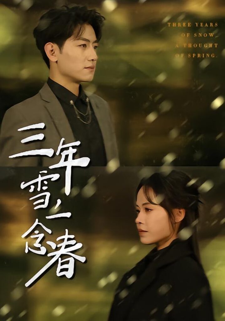 三年雪，一念春（70集）王金宝封面
