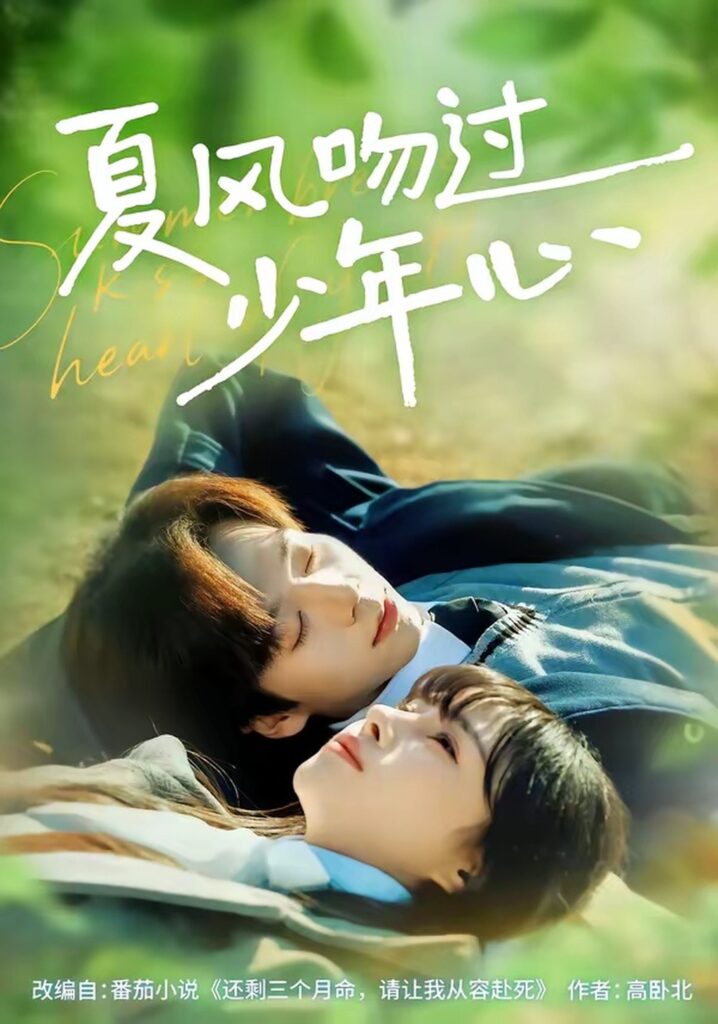 夏风吻过少年心（76集）张文浩封面