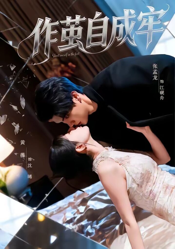 作茧自成牢（52集）梦龙封面