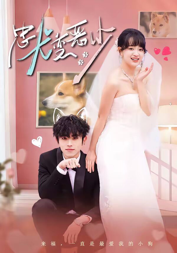 熬夜追完《47595-惊！我家来福变恶少了＆忠犬变恶少》！80集全集在线观看+夸克网盘转存