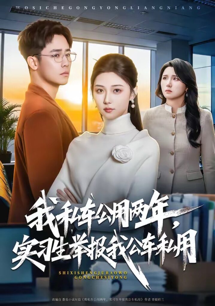 《我私车公用两年，实习生举报我公车私用》程雅昭＆车婷婷主演！63集短剧在线观看+夸克网盘转存