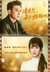 凌先生，我们结婚吧封面