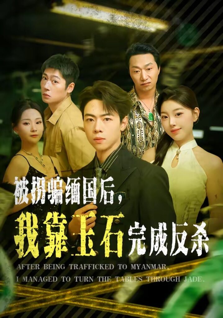 被拐骗缅国后,我靠玉石完成反杀(80集)魏星亦封面