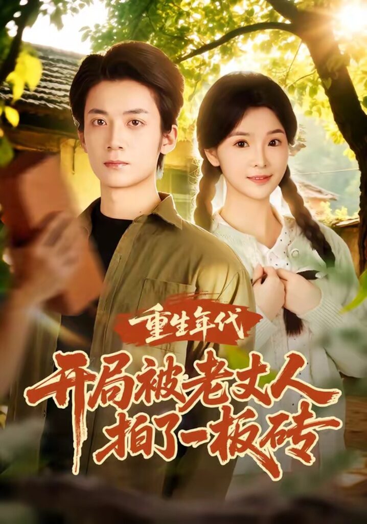 《重生年代开局被老丈人拍了一板砖》！82集全集在线观看+夸克网盘转存