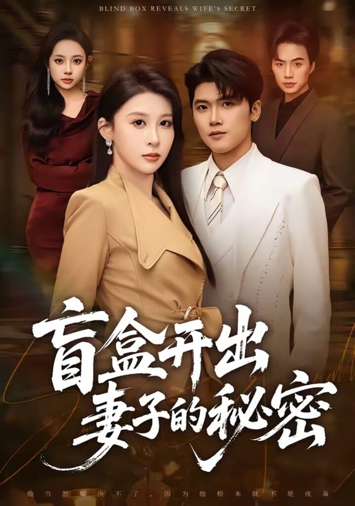 盲盒开出妻子的秘密（40集）林嘉翊封面