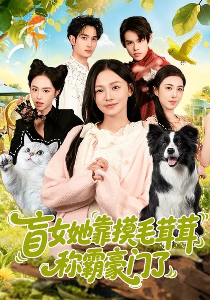 盲女她靠摸毛茸茸称霸豪门了（84集）陈洁怡&范骏羽封面