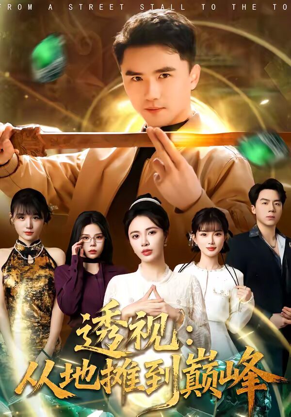 47620-透视：从地摊到巅峰（81集）赵志盟封面