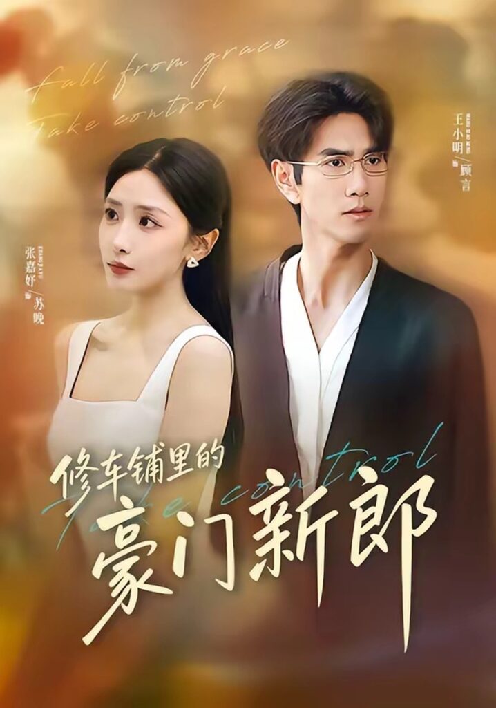 修车铺里的豪门新郎(34集)张嘉妤封面