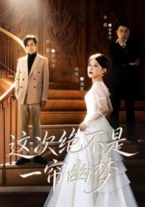 《这次绝不是一帘幽梦》全集在线观看，66集完整版夸克网盘在线转存下载