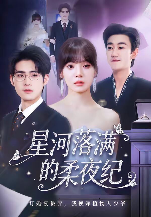 47627-星河落满的柔夜纪（88集）邹梓豪封面