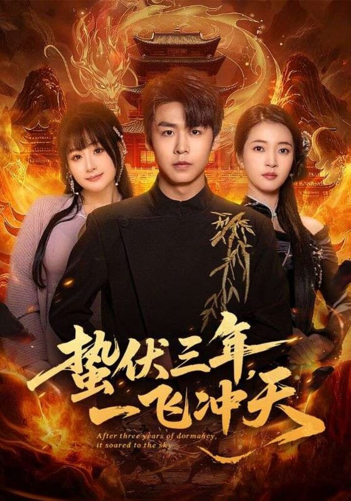 蛰伏三年，一飞冲天（60集）孔德瑞封面