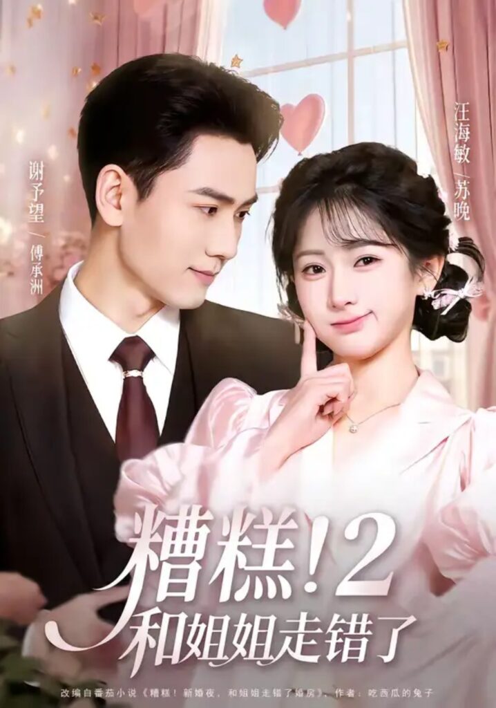 《糟糕！和姐姐走错了第2部》短剧完整版｜短剧夸克网盘转存