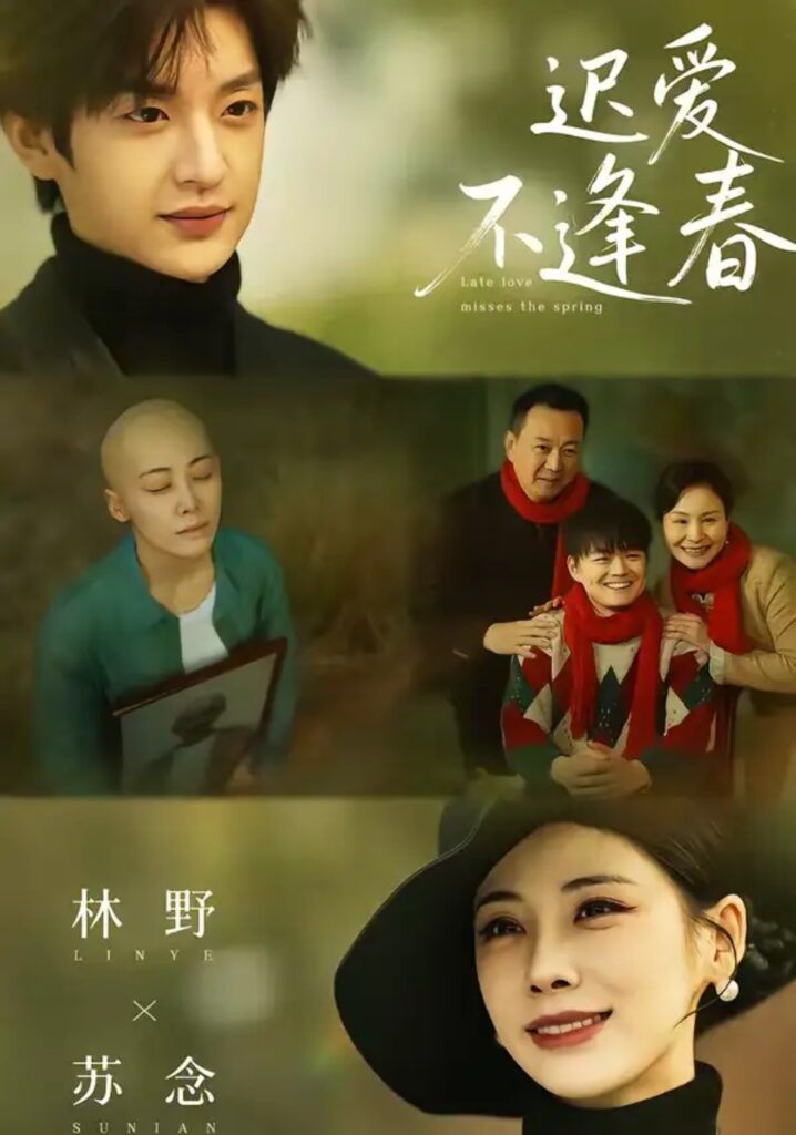 《迟爱不逢春》短剧在线观看｜短剧完整版｜短剧夸克网盘转存