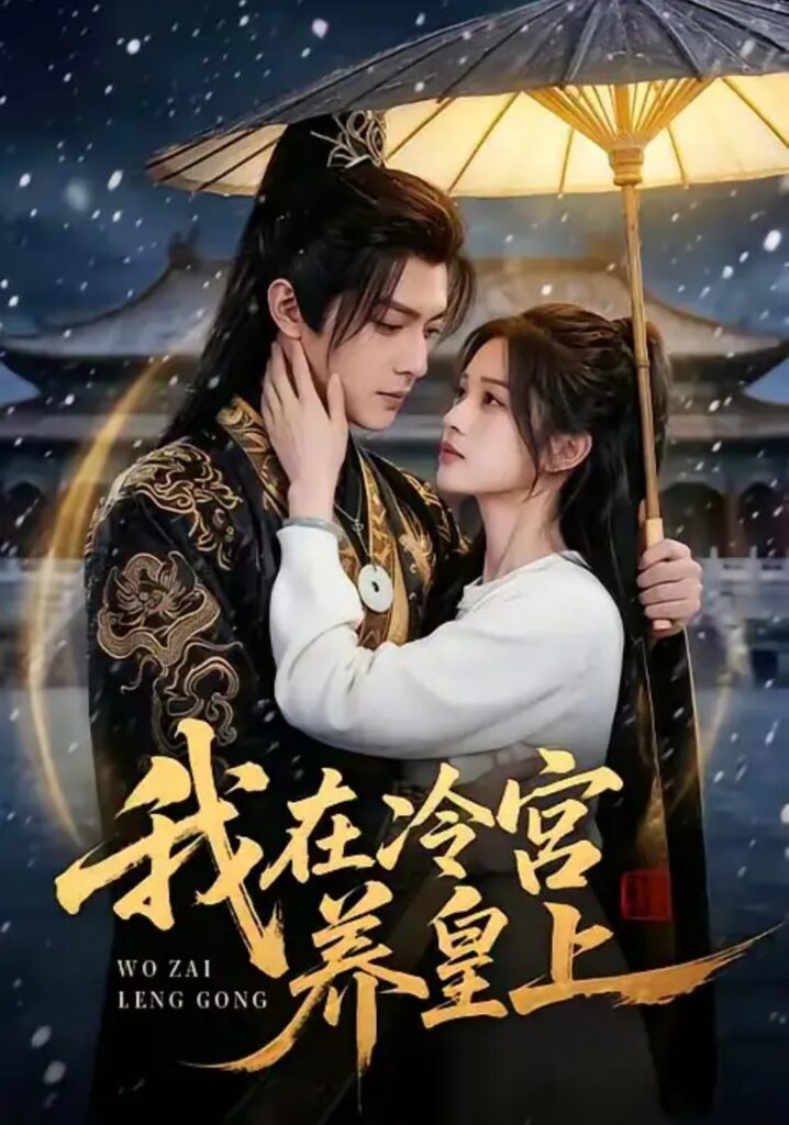 《我在冷宫养皇上》短剧全集完整版免费观看-看电影短剧网