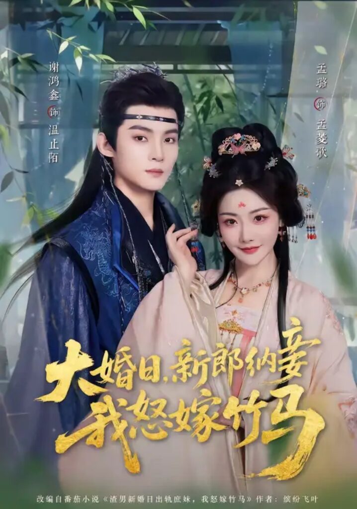 《大婚日,新郎纳妾我怒嫁竹马》短剧免费观看|短剧在线观看-短剧在线观看_免费短剧大全_热门短剧推荐平台