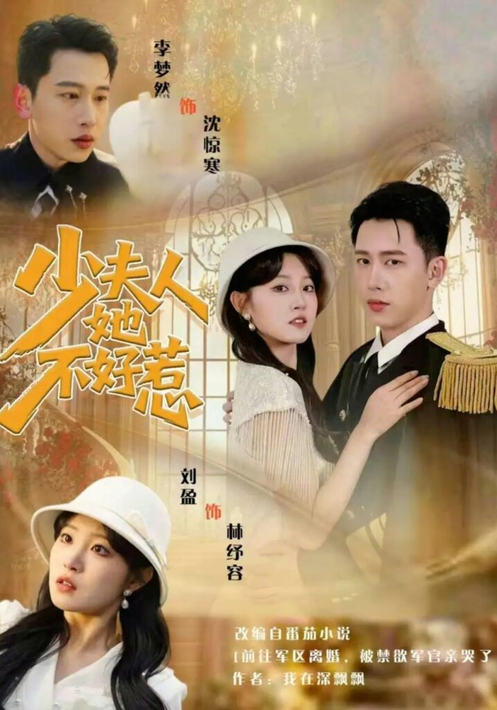 《少夫人她不好惹》短剧全集完整版免费观看-看电影短剧网