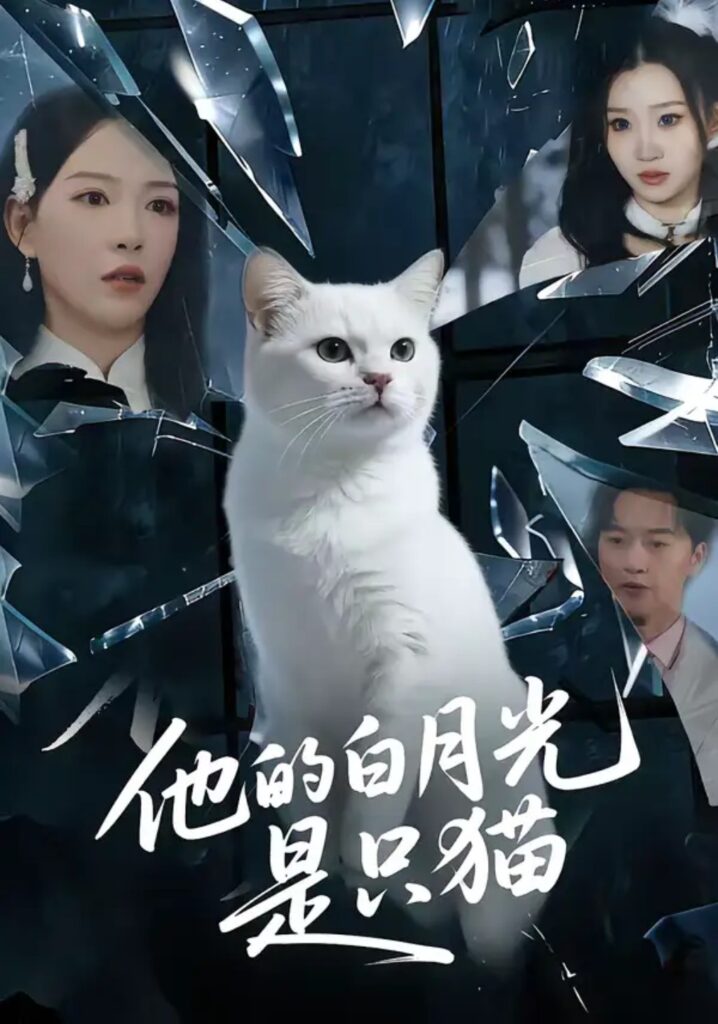 《他的白月光是只猫》短剧全集完整版免费观看-看电影短剧网
