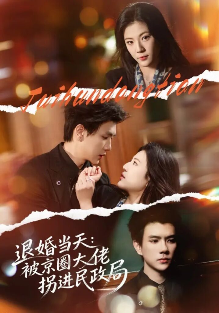 《退婚当天:被京圈大佬拐进民政局》短剧全集完整版免费观看-看电影短剧网