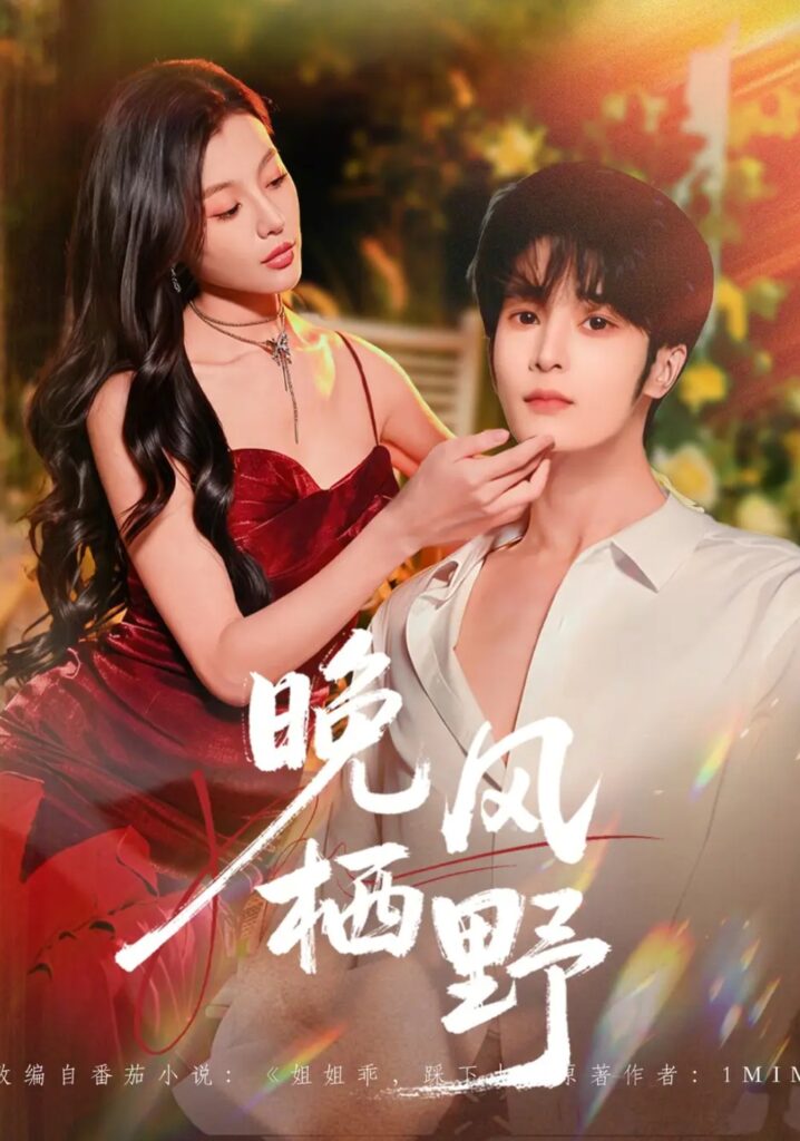 《晚风栖野》短剧全集完整版免费观看