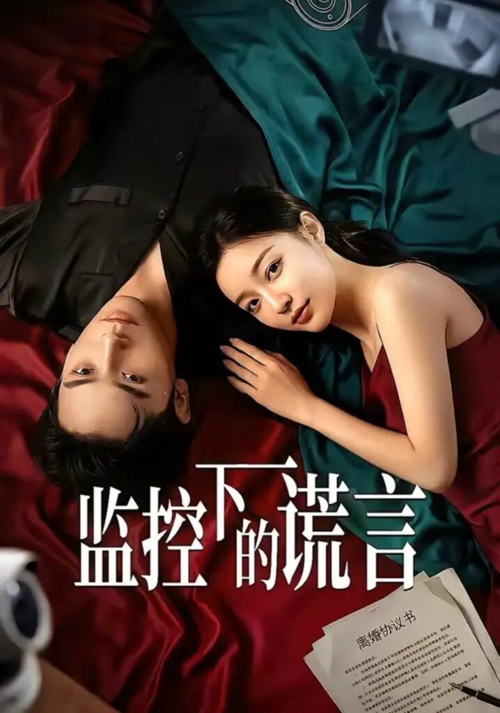 《监控下的谎言》短剧全集完整版免费观看-看电影短剧网