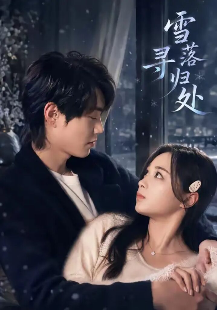 《雪落寻归处》短剧全集完整版免费观看-看电影短剧网