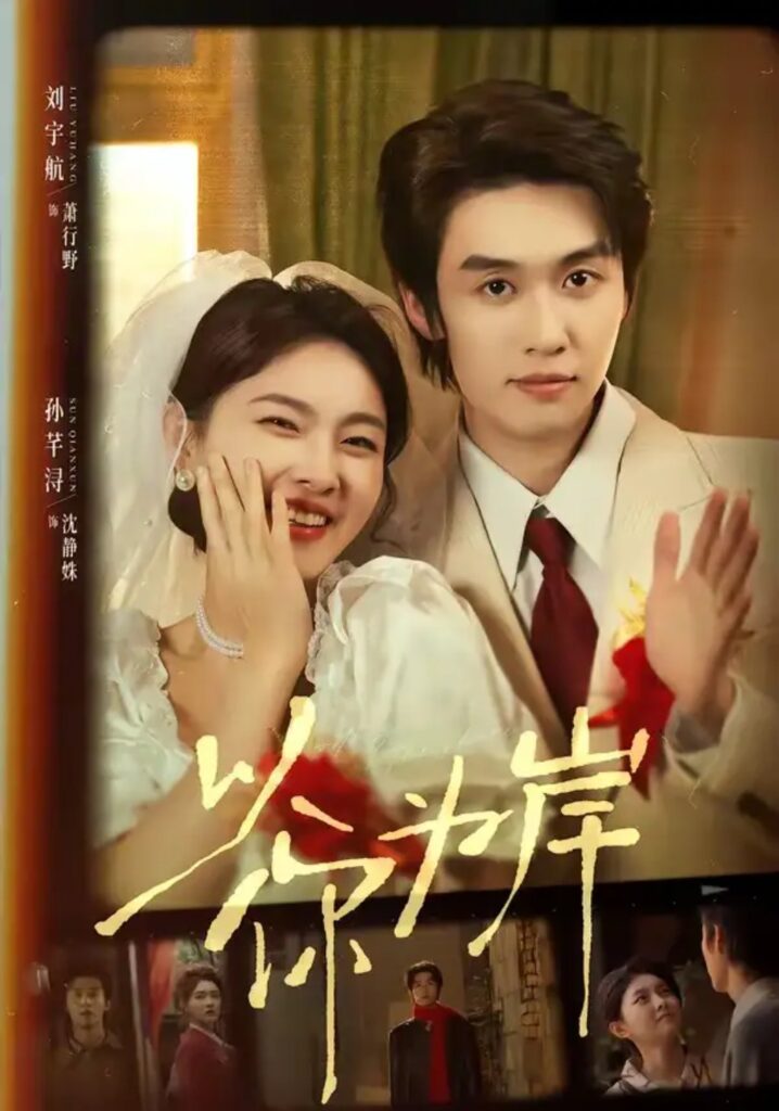 《以你为岸》短剧全集完整版免费观看-看电影短剧网