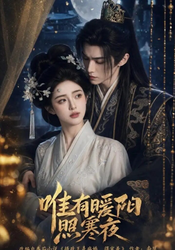 《唯有暖阳照寒夜》短剧全集完整版免费观看-看电影短剧网