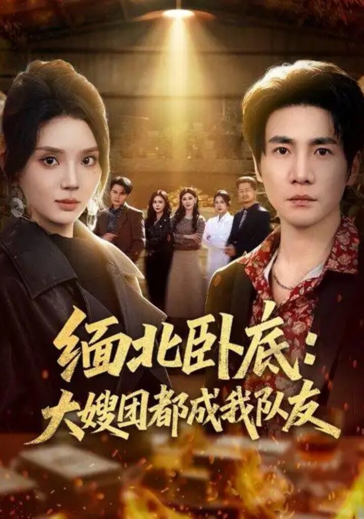 《缅北卧底:大嫂团都成我队友》短剧全集完整版免费观看-看电影短剧网