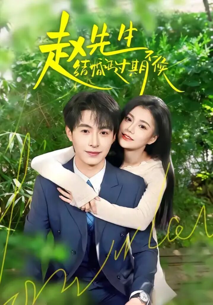 《赵先生结婚证过期不候》短剧全集完整版免费观看