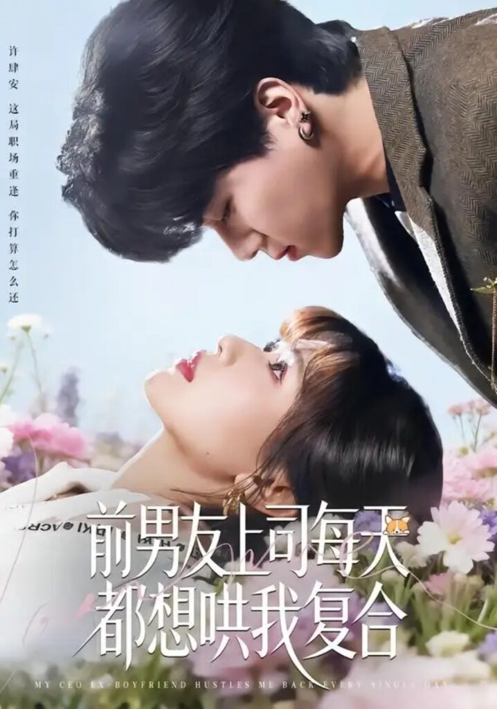 《前男友上司每天都想哄我复合》短剧全集完整版免费观看-看电影短剧网