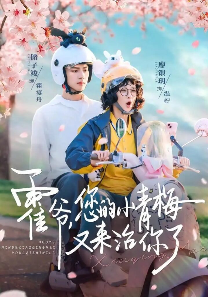《霍爷,您的小青梅又来治你了》短剧全集完整版免费观看-看电影短剧网