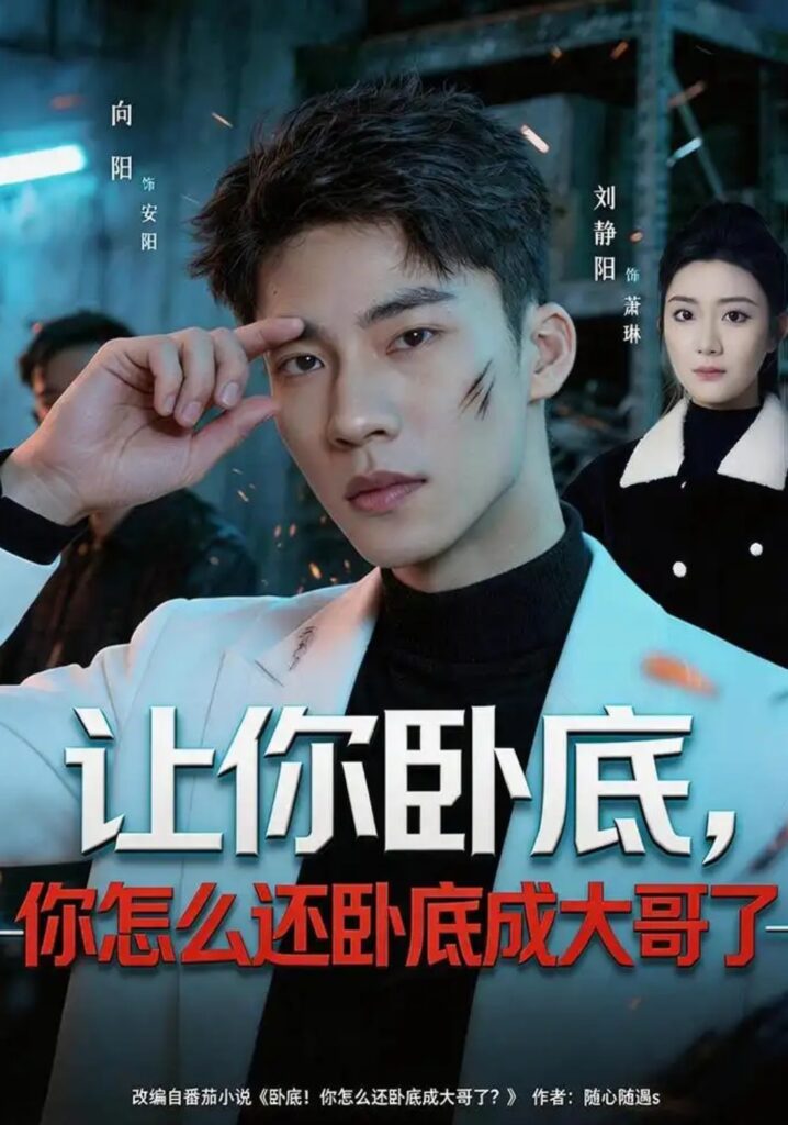 《让你卧底,你怎么还卧成大哥了》短剧全集完整版免费观看-看电影短剧网