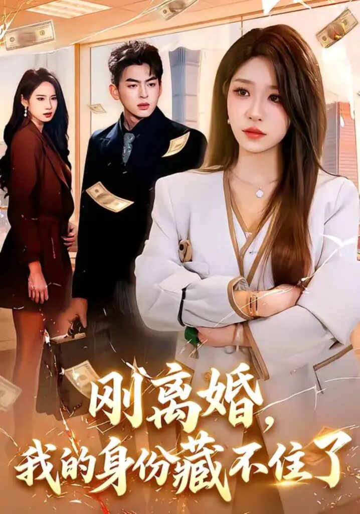 《刚离婚,我的身份藏不住了》短剧全集完整版免费观看-看电影短剧网