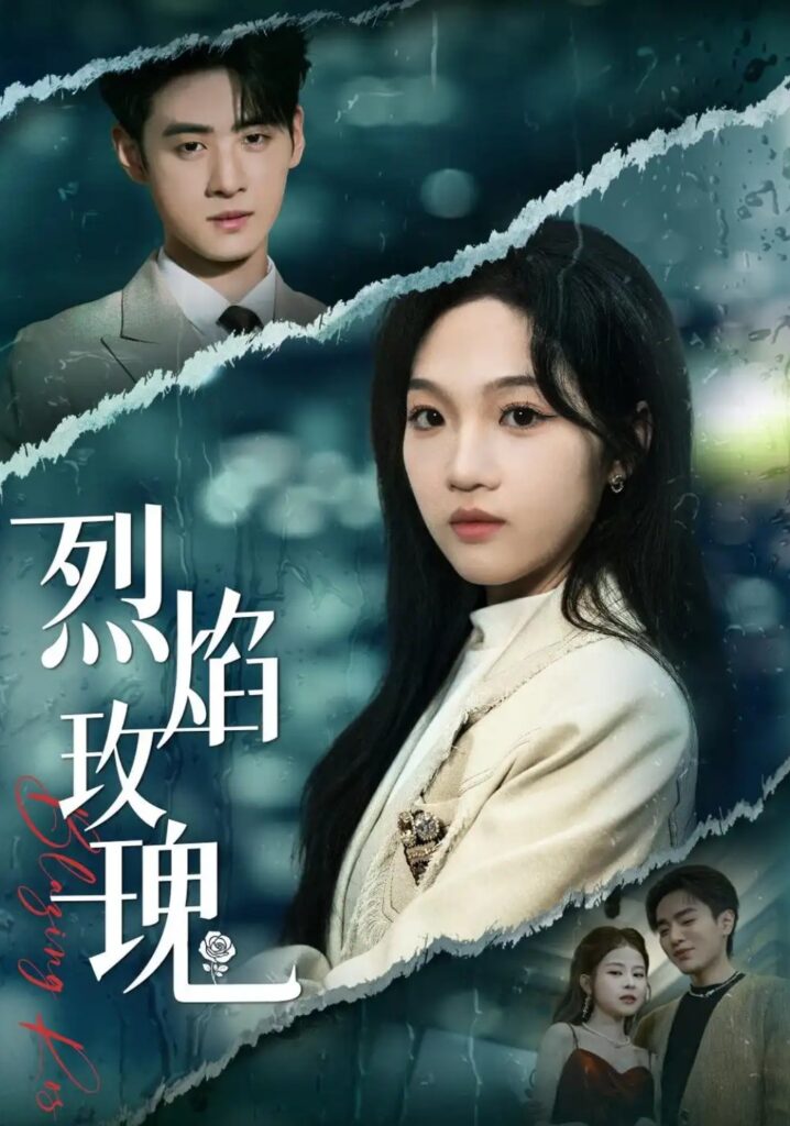 《烈焰玫瑰》短剧全集完整版免费观看