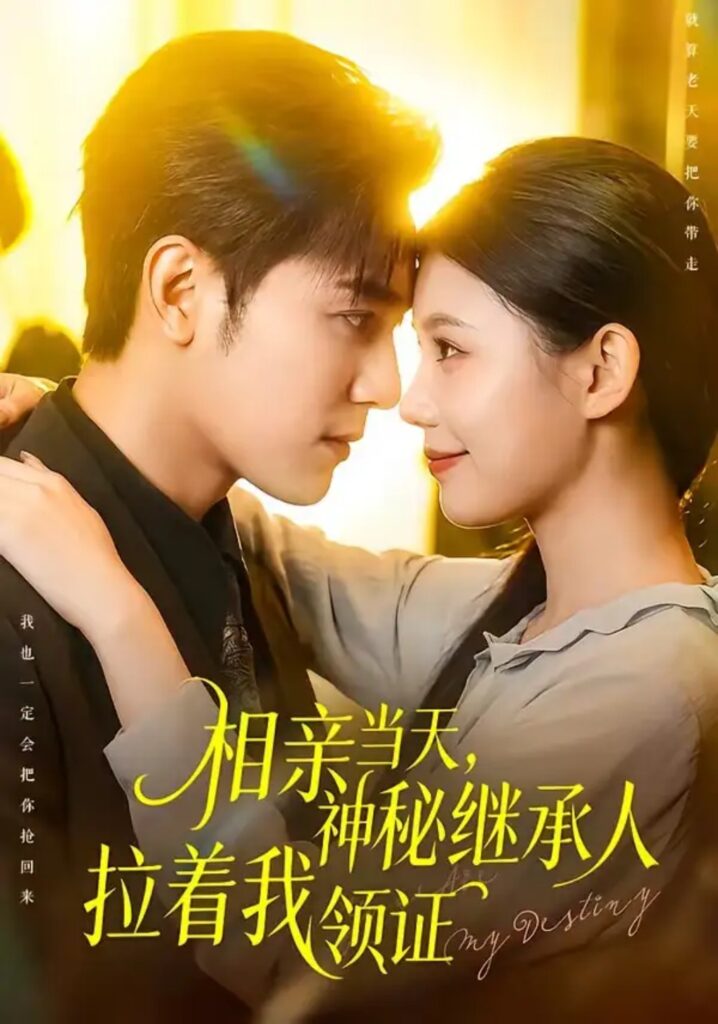 《相亲当天,神秘继承人拉着我领证》短剧全集完整版免费观看-看电影短剧网