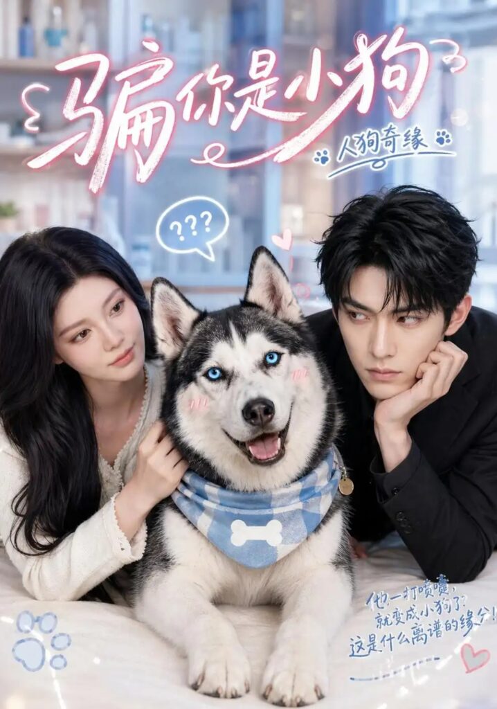 《骗你是小狗》短剧全集完整版免费观看-看电影短剧网